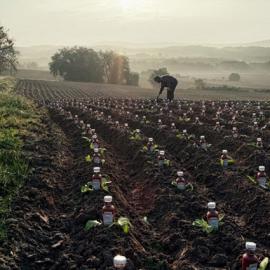 2011 IPA国际摄影大奖：广告类（一）