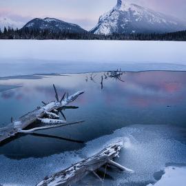 2011 IPA国际摄影大奖：自然类（二）