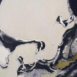 2011 IPA国际摄影大奖：自然类（一）