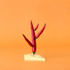 果蔬排排队――摄影师创意摄影