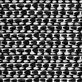 Алексей Бедный摄影作品：黑白及光影