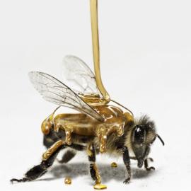 Jan Eric Friis奇趣摄影作品