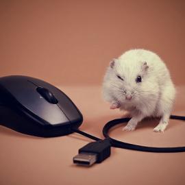 Eibo Jeddah唯美摄影