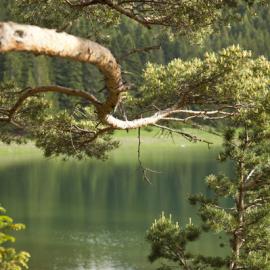 王国气度不凡！黑山(Montenegro) 旅游印象