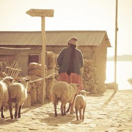 YPOC视觉故事讲述者大赛