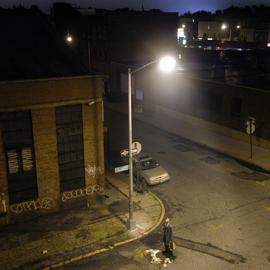 Stewart Isbell摄影作品：悄悄的他们来了