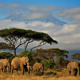 国家地理每日一图（7月合集）