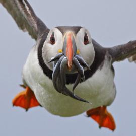 推荐：500px高品质图片