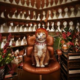 Jonathan May创意摄影作品欣赏