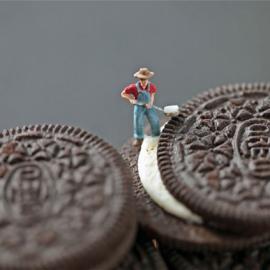 创意微观摄影：美食微世界