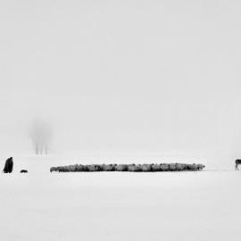 Alexandru Axon摄影作品