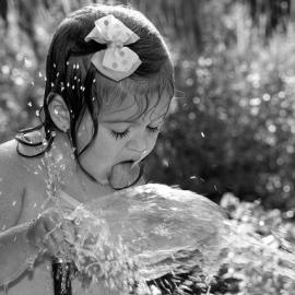 四季主题摄影作品：夏