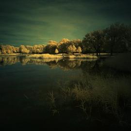 Maxime Chillemi摄影作品