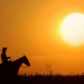 创意剪影摄影作品欣赏