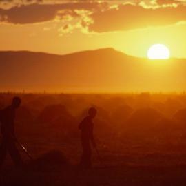 国家地理经典作品：温暖的橙色