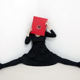 Krista van der Niet概念艺术作品