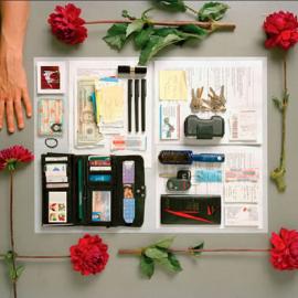 Francois Robert创意摄影：口袋里的隐私