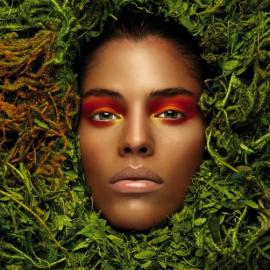 土耳其摄影师Bahadir Tanriover作品欣赏