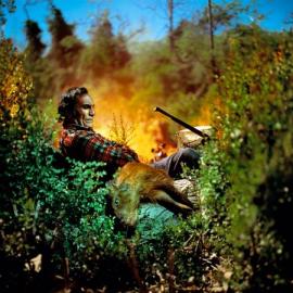 “索尼世界摄影大赛（2011年度）”获奖作品选