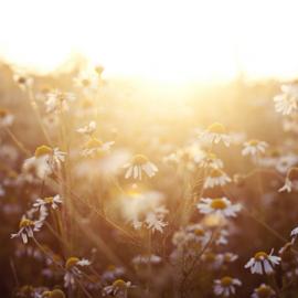 crashbangsqueak 摄影作品