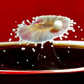 微距摄影之水珠篇