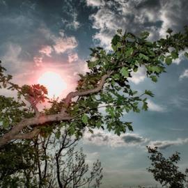 李东翰作品展：为他们拍摄肖像