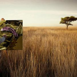 Tim Mitchell工作室广告摄影作品