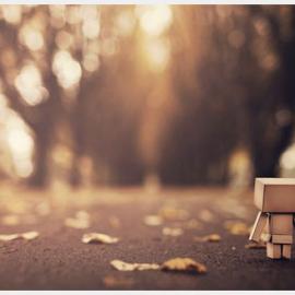 60个美丽的玩偶摄影（一）