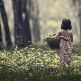 adib muhandis摄影作品欣赏