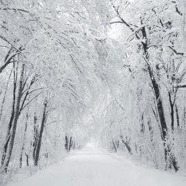 仙境般的风景摄影欣赏（二）
