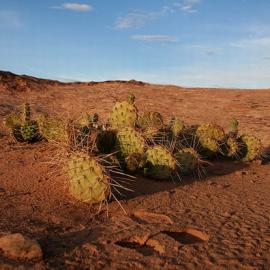 30张狂野的犹他州沙漠摄影照片