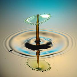 30张极美的微距摄影赏