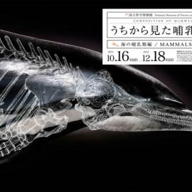 绘画摄影的微妙结合：哺乳动物构成海报