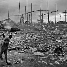 反映社会贫穷的摄影照片