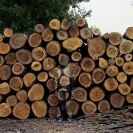 隐形人刘勃麟又来了！