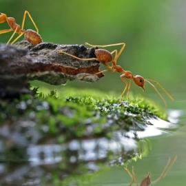 40 张让人屏息的美丽摄影作品（二）