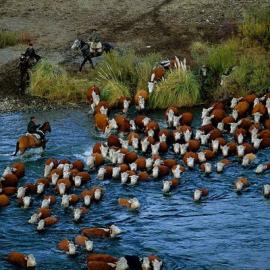 35张美丽的航拍照片