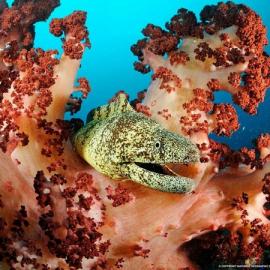 国家地理11月超强冲击力每日大片