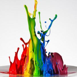 色彩缤纷的摄影世界