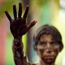 盘点2010年度绿色和平图片