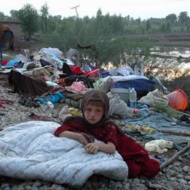 美国合众社2010年新闻类最佳图片