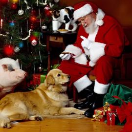 2011美国圣诞节高清摄影素材集