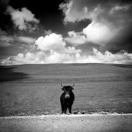 甘南云上时光---路子