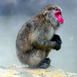 冻结你的屏幕：80张精美雪景摄影（二）