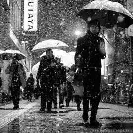 冻结你的屏幕：80张精美雪景摄影（一）