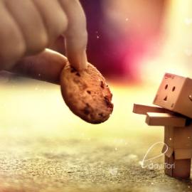 24张震撼人心的魅力摄影