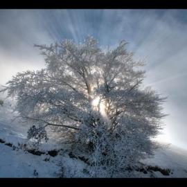 冰天雪地的极地摄影