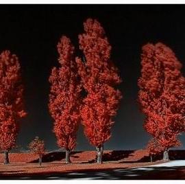 让人痴醉的绝美景观摄影―Ku-Harrr