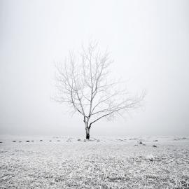 Akos Major风景摄影作品