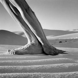 人体景观艺术摄影―Arno Rafael Minkkinen